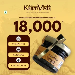 kaamveda-pure-men-shilajit-resin-5825056